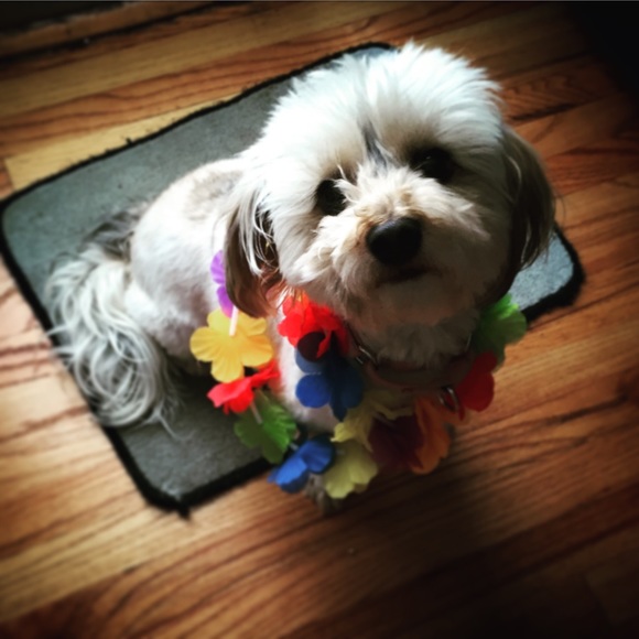 Meet your Posher, Jackie... - Picture 3 of 9